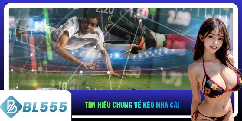 Tìm hiểu chung về kèo nhà cái